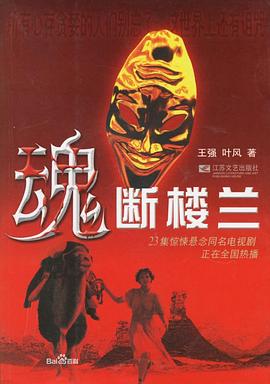王强导演电视剧魂断楼兰