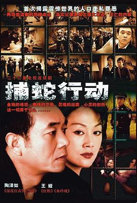 谷锦云导演电视剧捕蛇行动