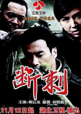 赵浚凯导演电视剧断刺