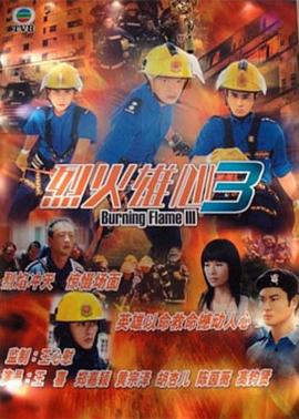 王心慰导演电视剧烈火雄心3国语